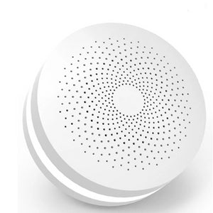 Home Security Device