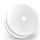 Home Security Device